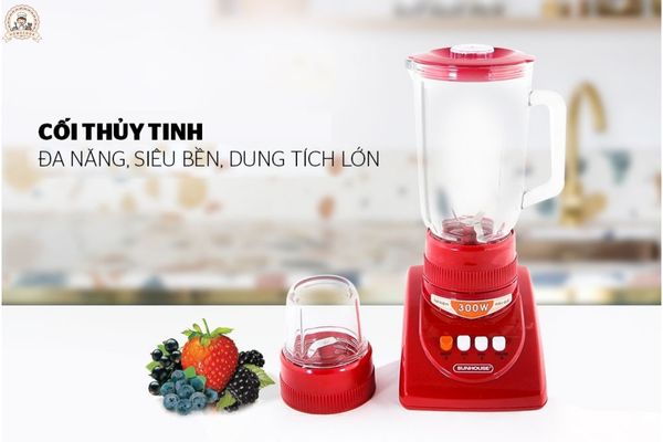 Máy Xay Sinh Tố Loại Nào Tốt
